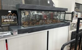 Warrnambool 1 Warrnambool 1